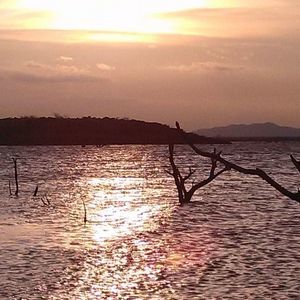 Meet your Posher, Chad